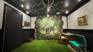 The Mystery Rooms - Glen Innes place picture